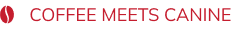 Frame 1707482266 (16)
