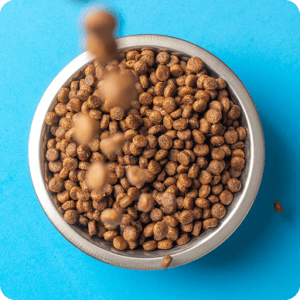 Dog Food